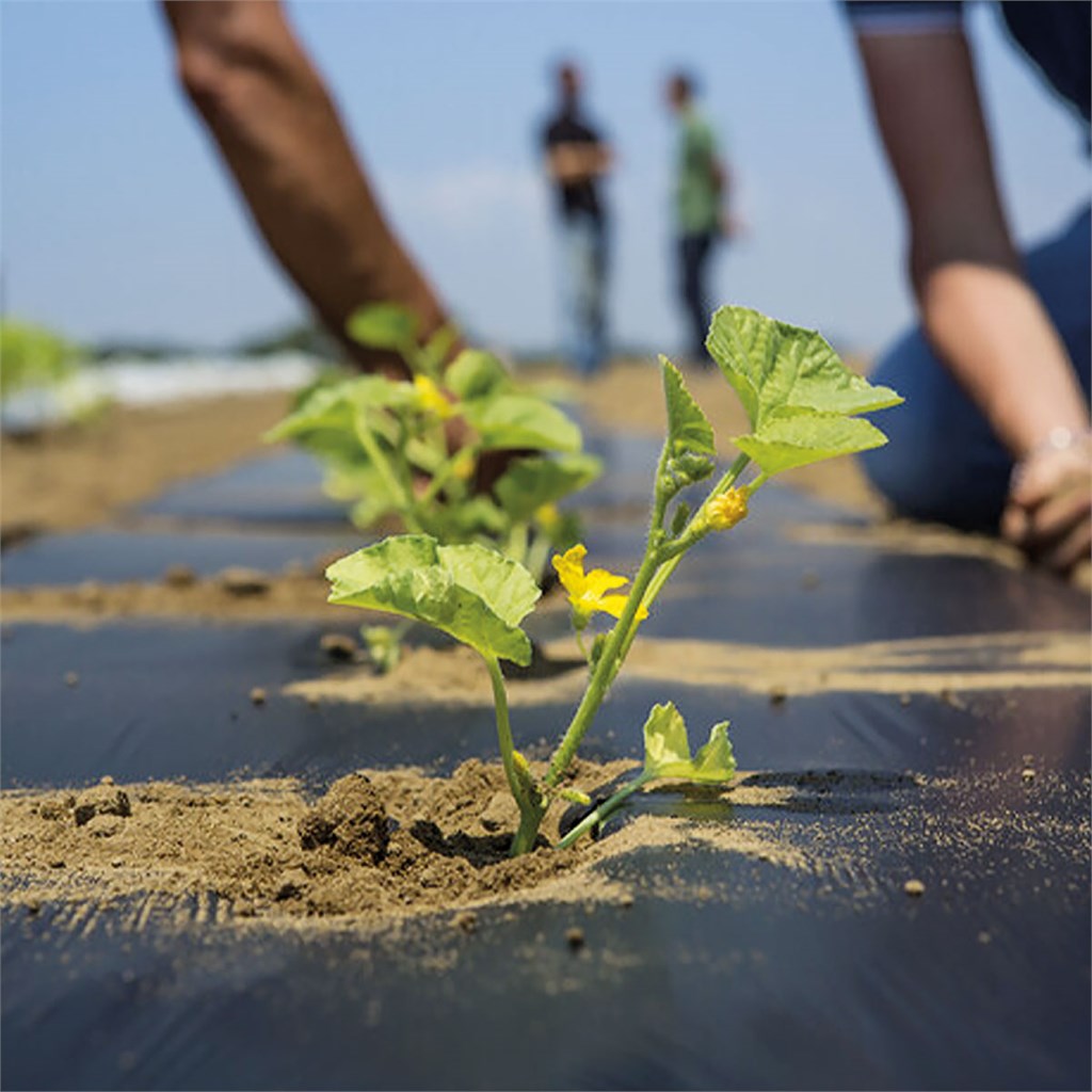 FILM PE MULTIBIO 0,015 MT. 1.40 X 1600  BOBINA